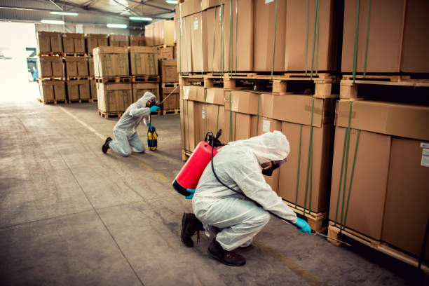 Trusted Dry Run, OH Pest Control Experts