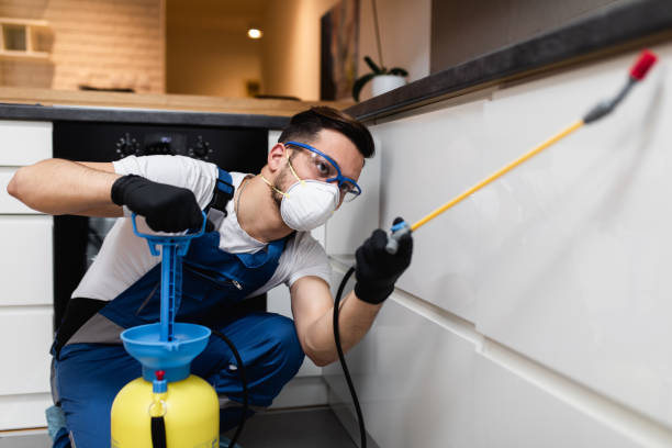 Best Best Pest Control Companies  in Dry Run, OH