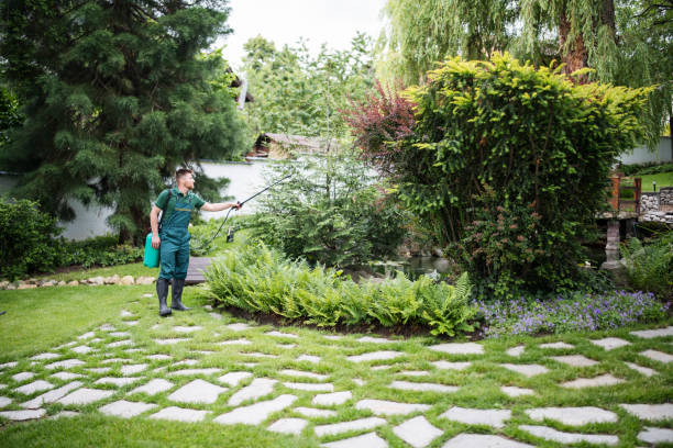 Best Residential Pest Control  in Dry Run, OH