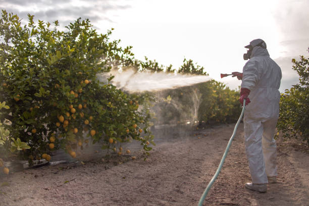 Best Insect Control  in Dry Run, OH