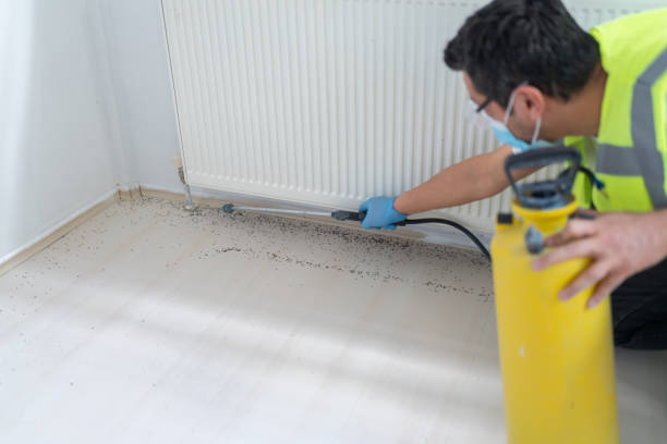 Best Termite Control Services  in Dry Run, OH