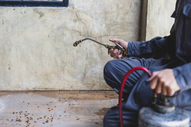 Best Mosquito Control Services  in Dry Run, OH